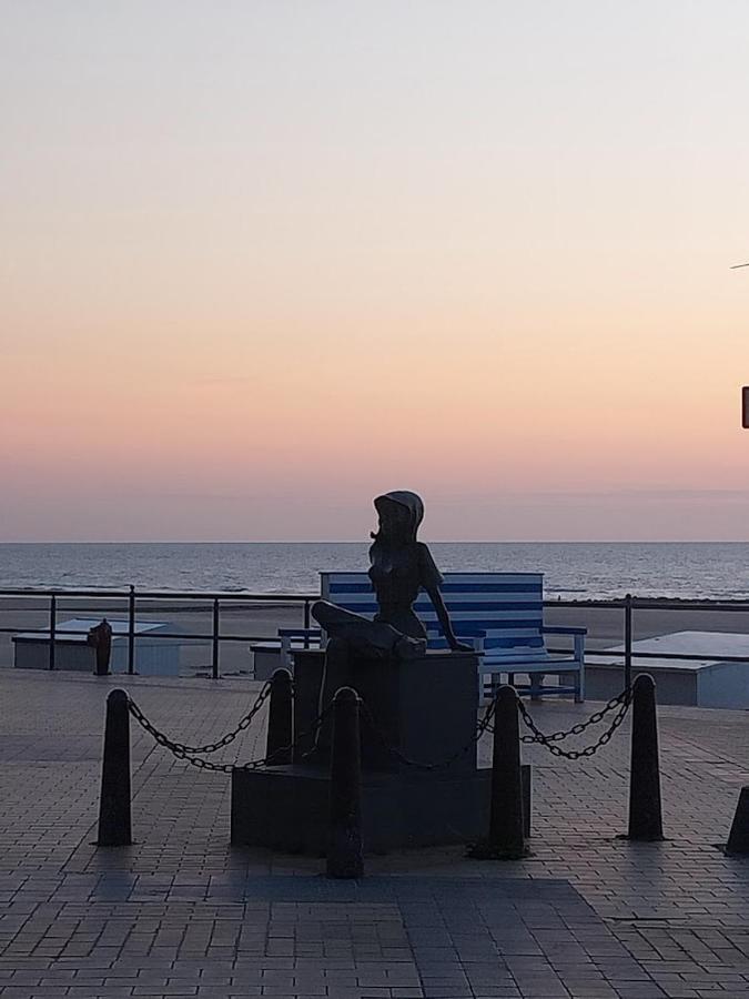 Lovely N° 9 Op Ieder Moment Een Prachtig Zeezicht & Zwembad ミデルケルケ エクステリア 写真